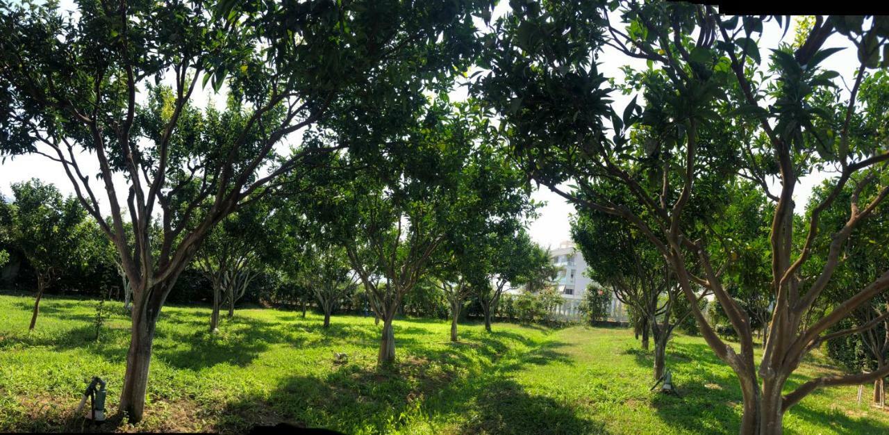 Hotel Denta Radhime Luaran gambar